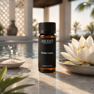 White Lotus Inspired by: Four Seasons Hotel ASCENT COLLECTION