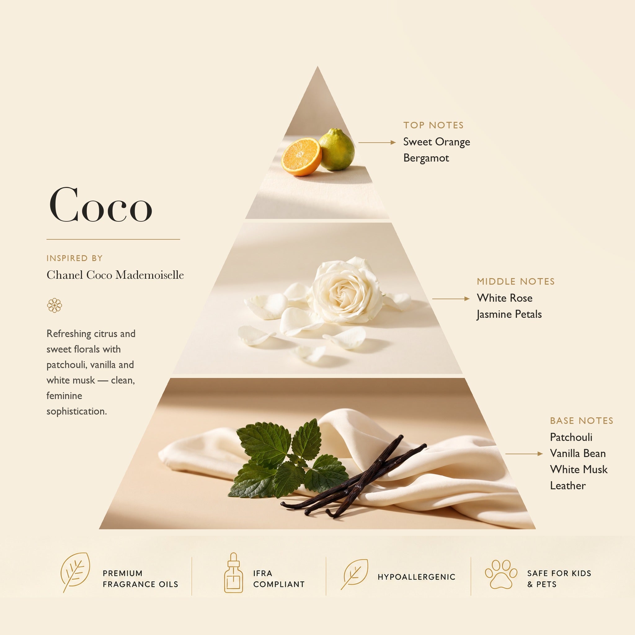 Coco Inspired by Channel Coco Mademoiselle ASCENT COLLECTION