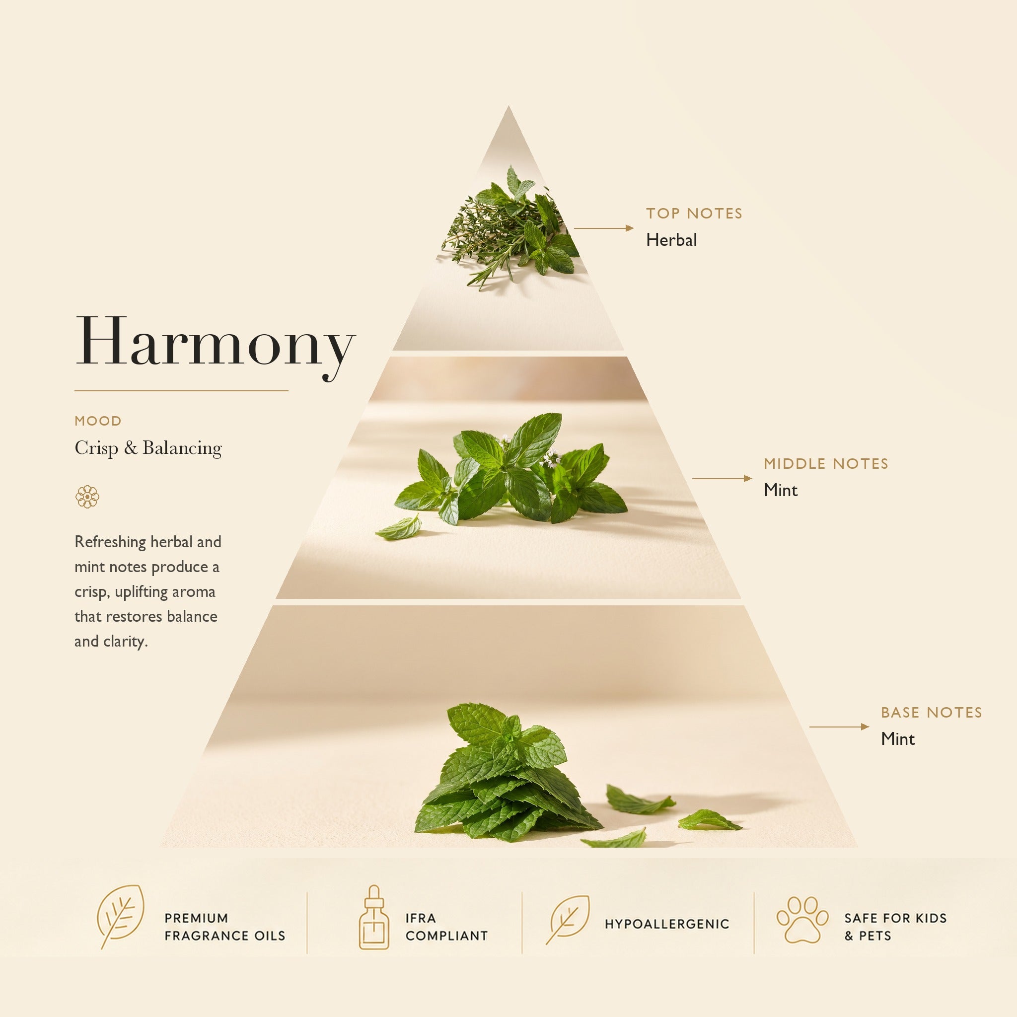 Essential Oil Harmony
