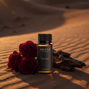 Desert Rose diffuser oil on golden desert sand with deep damask roses and oud wood — dark rose and oud fragrance | Ascent Collection