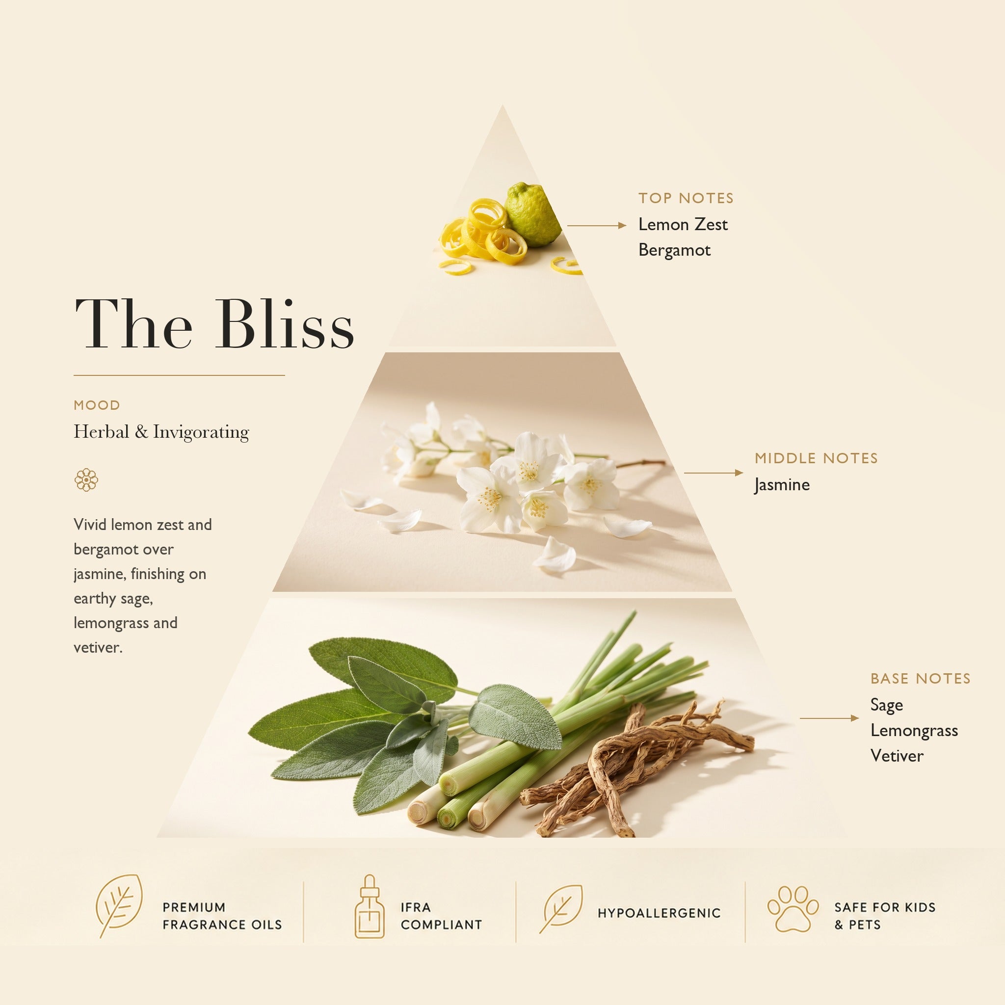 Diffuser Oil The Bliss