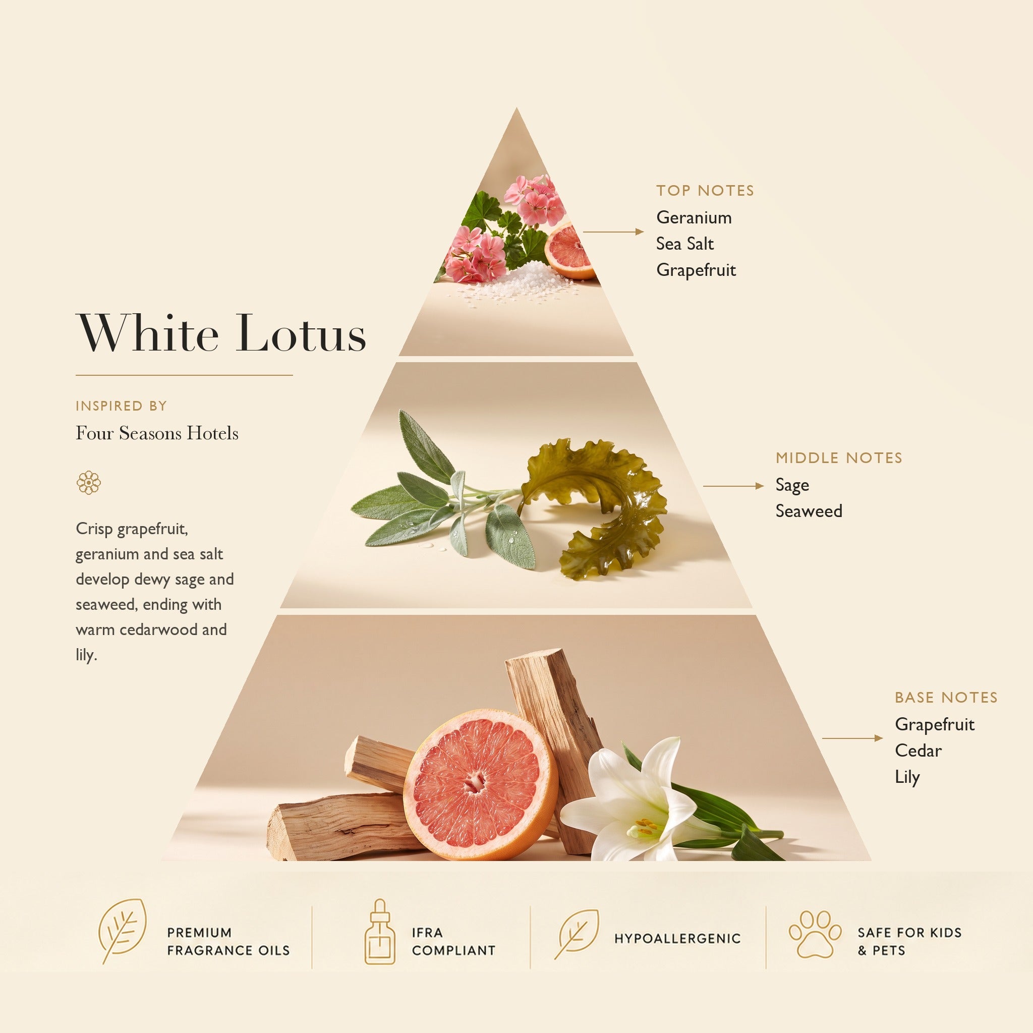 White Lotus Inspired by: Four Seasons Hotel ASCENT COLLECTION